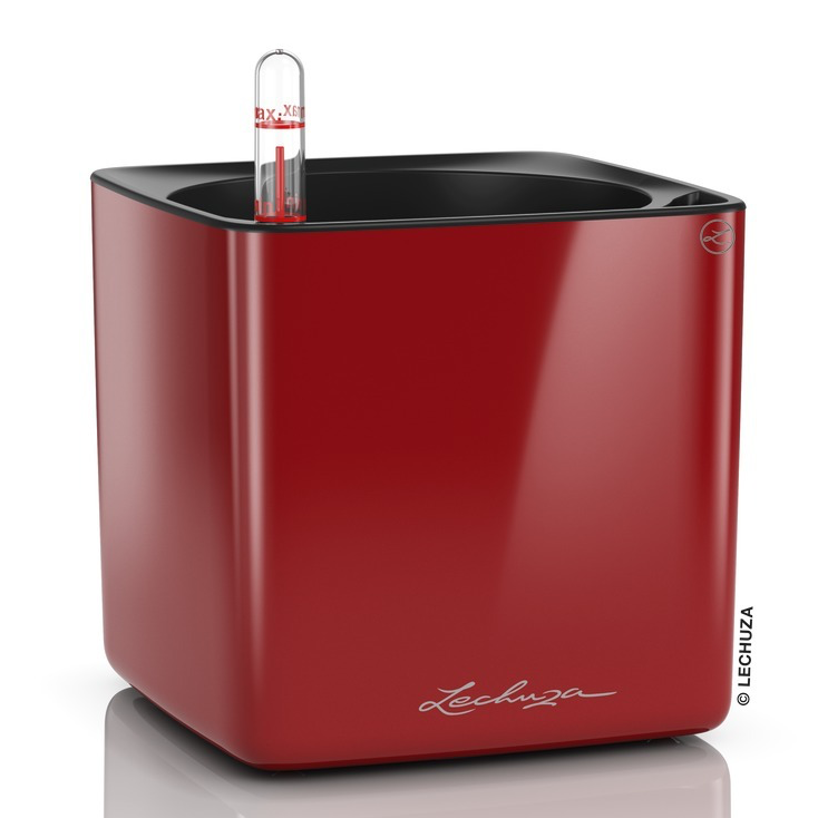  Lechuza Cube Glossy 14 herb pot | 16 red gloss