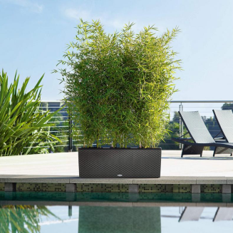 Donica Lechuza Trio Cottage 30 | 40 jasno-szary - 9