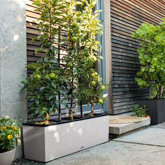  Lechuza Trio Cottage 30 planter | 40 light gray - 10
