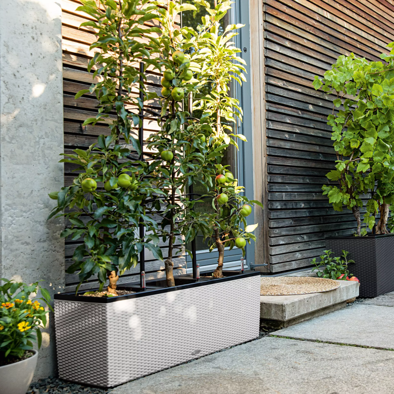  Lechuza Trio Cottage 30 planter | 40 light gray