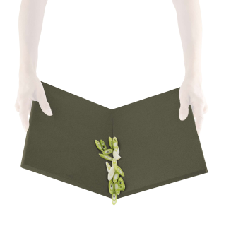 Deska do krojenia 2w1 Eva Solo Green Tools - 3