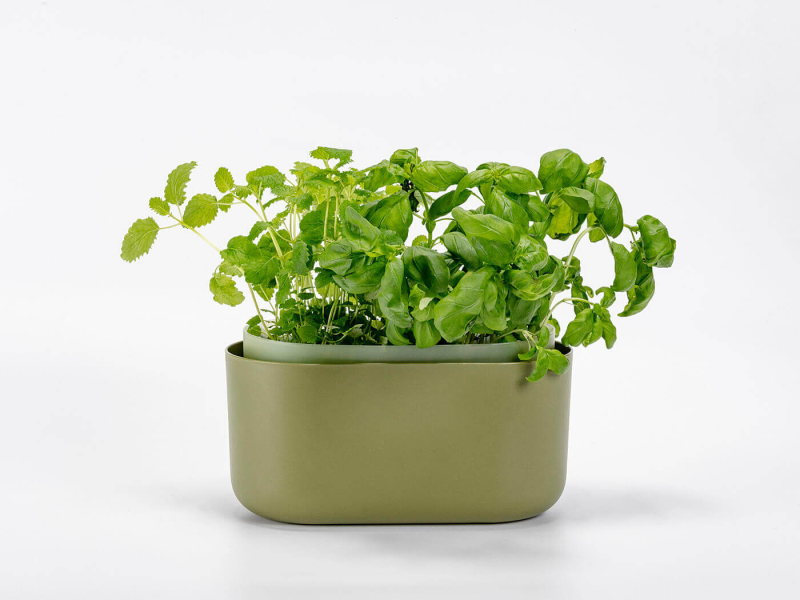 PLASTIA TOLITA Donica samonawadniająca prostokątna 31x16 cm zielony