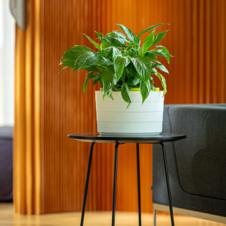 Donica samo-nawadniająca okrągła Urbalive Berberis biały 30 cm - 2