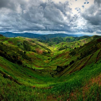 Kawa ziarnista Independent Alliance for Better Coffee Burundi Bugenyuzi - 4