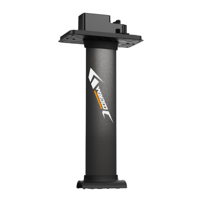 Maszt do desek WAYDOO EVO 31" (79cm)