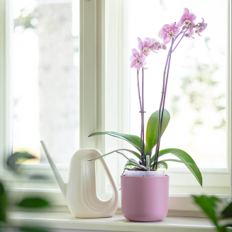 PLASTIA TOLITA AIR Donica samonawadniająca okrągła 16 cm różowy - 4