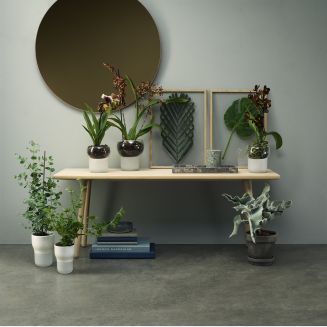 Doniczka na storczyki Eva Solo 15 cm - 5