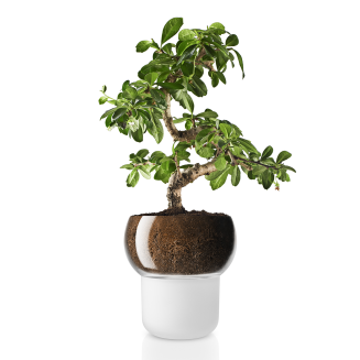 Doniczka na storczyki Eva Solo 15 cm  - 4