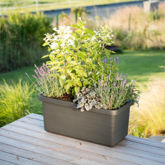 Donica samo-nawadniająca Urbalive Berberis Duo szary 78x39 cm - 4