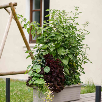 Donica samo-nawadniająca Urbalive Berberis Trio jasnoszary 117x39 cm - 2