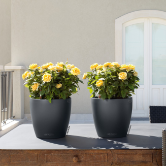  Lechuza Classico Color 18 flowerpot | 21 | 28 | 35 | 43 | 60 | 70 gray slate - 6