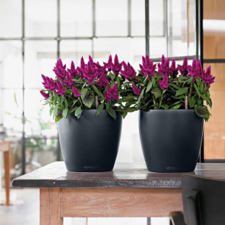  Lechuza Classico Color 18 flowerpot | 21 | 28 | 35 | 43 | 60 | 70 gray slate - 5