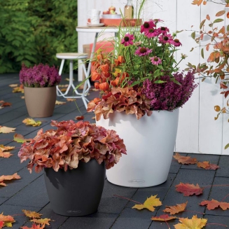  Lechuza Classico Color 18 flowerpot | 21 | 28 | 35 | 43 | 60 | 70 gray slate - 14