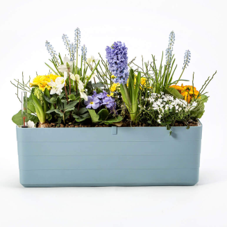 Donica samo-nawadniająca prostokątna Urbalive Berberis błękitny 60x20 cm - 5