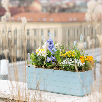 Donica samo-nawadniająca prostokątna Urbalive Berberis błękitny 60x20 cm - 6