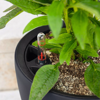 Donica Lechuza Classico Color LS 21 | 28 | 35 | 43 szary - 9