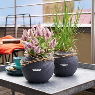  Lechuza Puro Color 20 slate gray flowerpot - 6