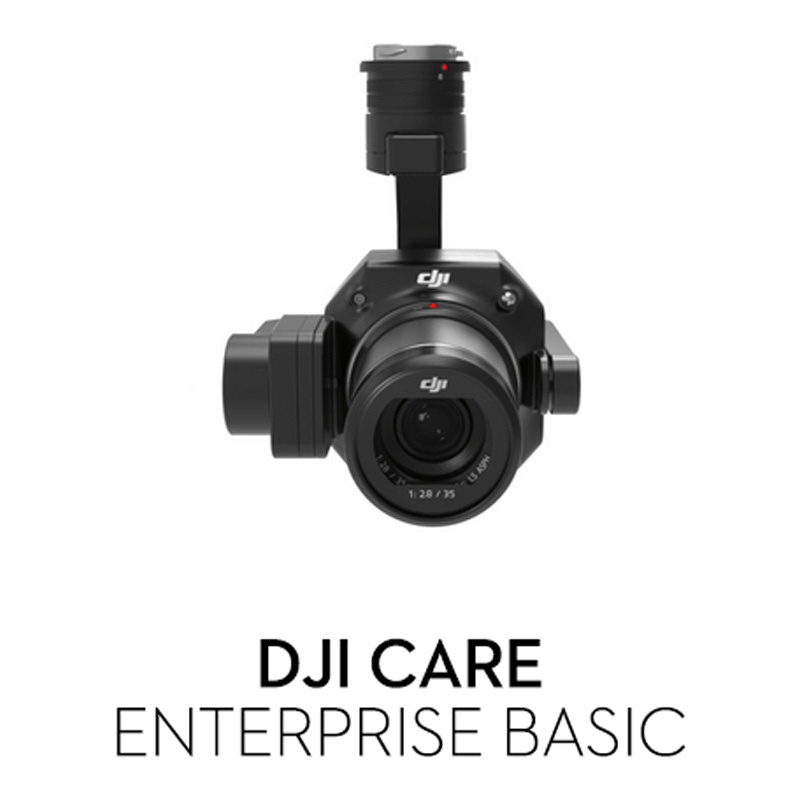 DJI Care Enterprise Basic Zenmuse P1 - kod elektroniczny