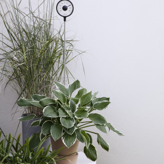 Termometr Eva Solo Outdoor standing thermometer | SPRING PROMO 2026 - 4