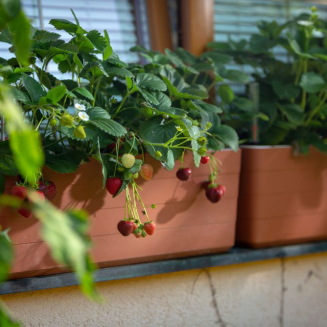 Donica samo-nawadniająca Urbalive Berberis szaro-brązowy 40x20 cm - 7