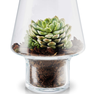 Eva Solo succulent pot Ø15 cm - 2