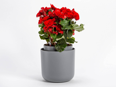 PLASTIA TOLITA Donica samonawadniająca okrągła 16 cm szary