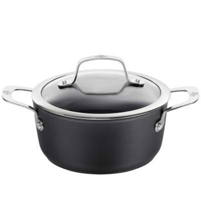  Ballarini Alba titanium induction pot with lid - 2.7 ltr