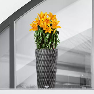 Donica Lechuza Cilindro Cottage 23 | 32 biały - 5