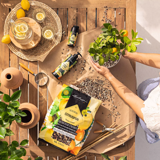 Substrat Lechuza Citruspon 12l - 4