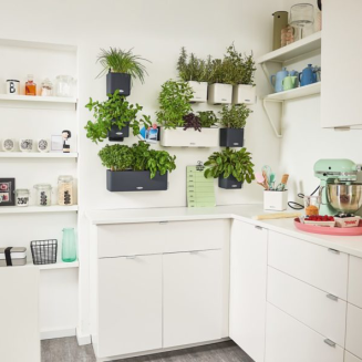 Donica ścienna Lechuza Cube Color Home Kit biały - 3