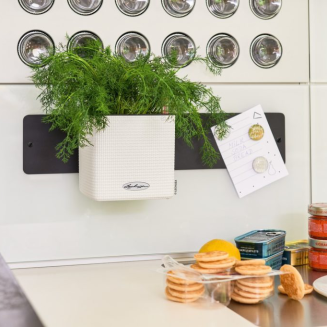 Donica ścienna Lechuza Cube Color Home Kit biały - 2