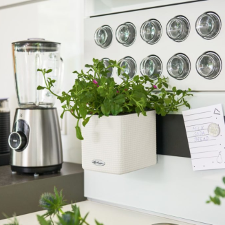 Donica ścienna Lechuza Cube Color Home Kit biały - 4