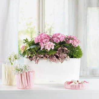  Lechuza plant pot Delta 10 | 20 white gloss - 5