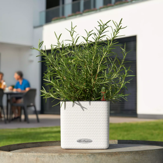  Lechuza Cube Color 14 herb pot | 16 white - 6