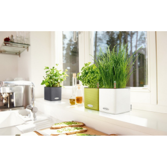 Doniczka na zioła Lechuza Cube Color 14 | 16 biały - 6