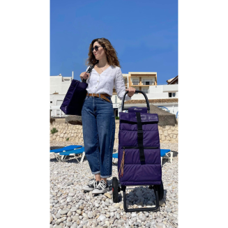 Wózek zakupowy Rolser Big Polar 2LRSG Negro - 5