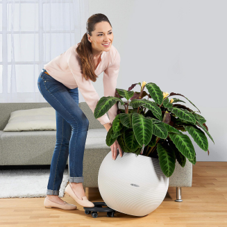  Base for Lechuza CLASSICO flower pots | QUADRO 43 - 4