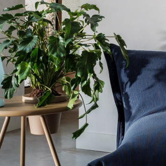 Lampa Fatboy Edison The Ambiance Polar Blue - 7