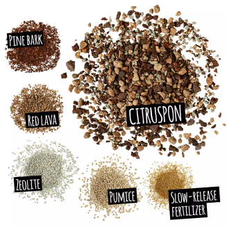 Lechuza Citruspon substrate 25l - 2