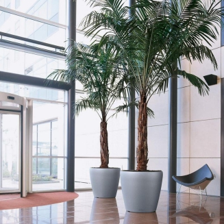  Lechuza Classico Premium 60 flowerpot | 70 anthracite metallic - 11