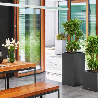 Lechuza Canto Stone flowerpot 40 cubes, graphite black - 11