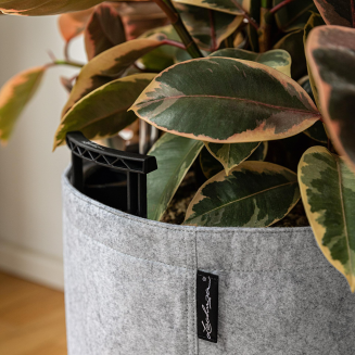 Donica Lechuza Trendcover Filc 32 jasno-szary - 5