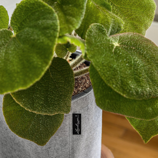 Lechuza Trendcover Filc 32 planter light gray - 4