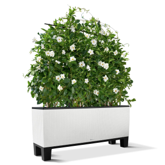  Base for Lechuza Trio 30 flower pots | 40 - 3