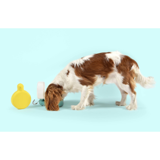 Butelka na wodę dla psa United Pets Pingui niebieska - 12
