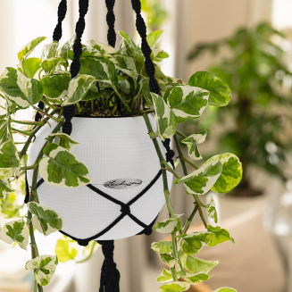 Zawieszenie Lechuza Makramee czarne do donic Puro - 2