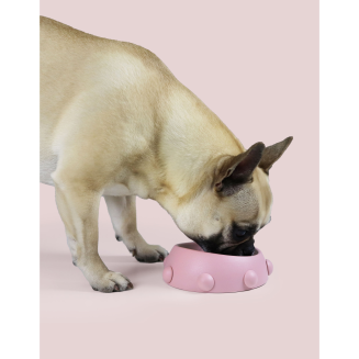 Miska dla psa i kota United Pets Boss Nano 160 ml kolor różowy - 4