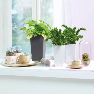  Lechuza Mini Cubi flowerpot | Maxi Cubi white gloss - 6