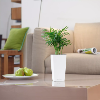  Lechuza Mini Cubi flowerpot | Maxi Cubi white gloss - 7