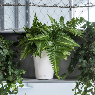  Lechuza Deltini flowerpot anthracite metallic - 8